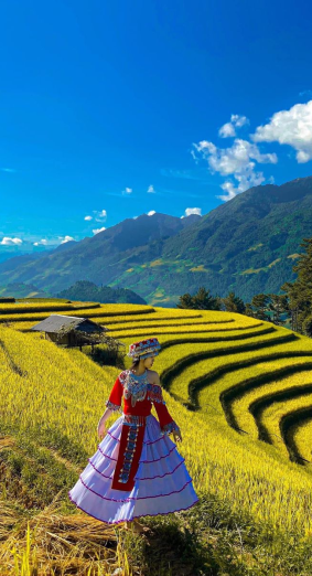 Trima Vietnam Company Limited